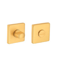 Rozet met toilet / badkamersluiting vierkant 53x53x8,9mm mat goud PVD gecoat